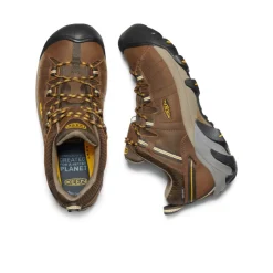 Store Targhee II Waterproof Wide Pour Homme  |  Cascade Brown/Golden Yellow Homme Large|Imperméable À L'eau